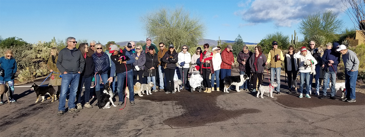 Carefree Shadows HOA Dog Walk