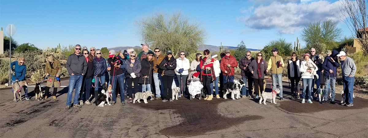 Carefree Shadows HOA Dog Walk